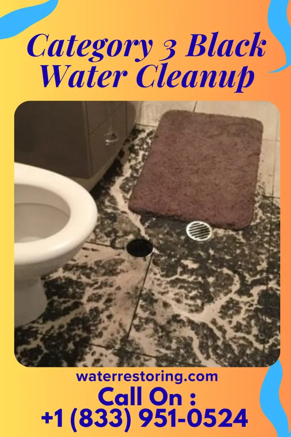 Category 3 Black Water Cleanup in Stout, IA