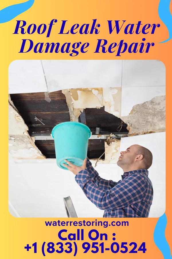 Roof Leak Water Damage Repair in Stout, IA